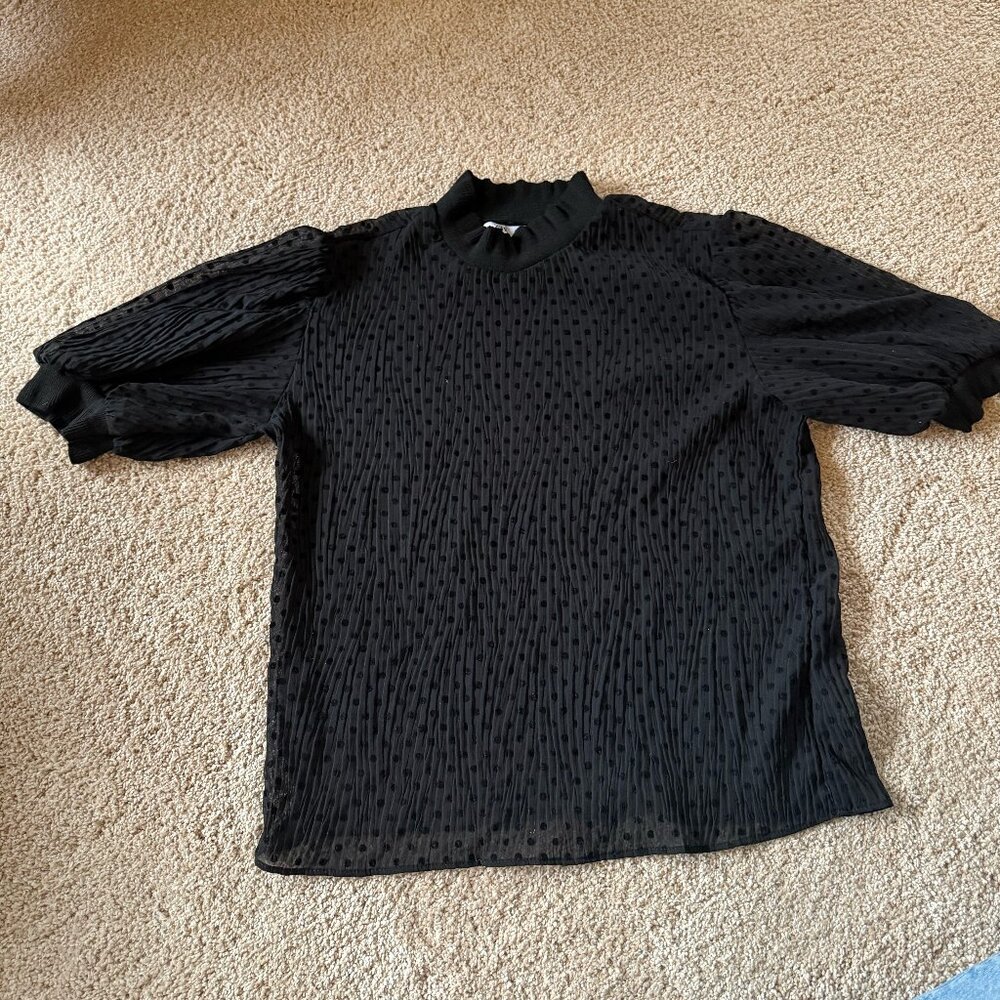 Sheer Black Polka Dot Zara Top